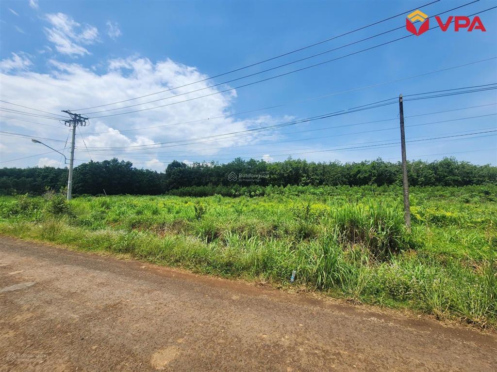 Tài sản bà lê thị trang (đồng nai) xã tân hưng, huyện đồng phú, tỉnh bình phước