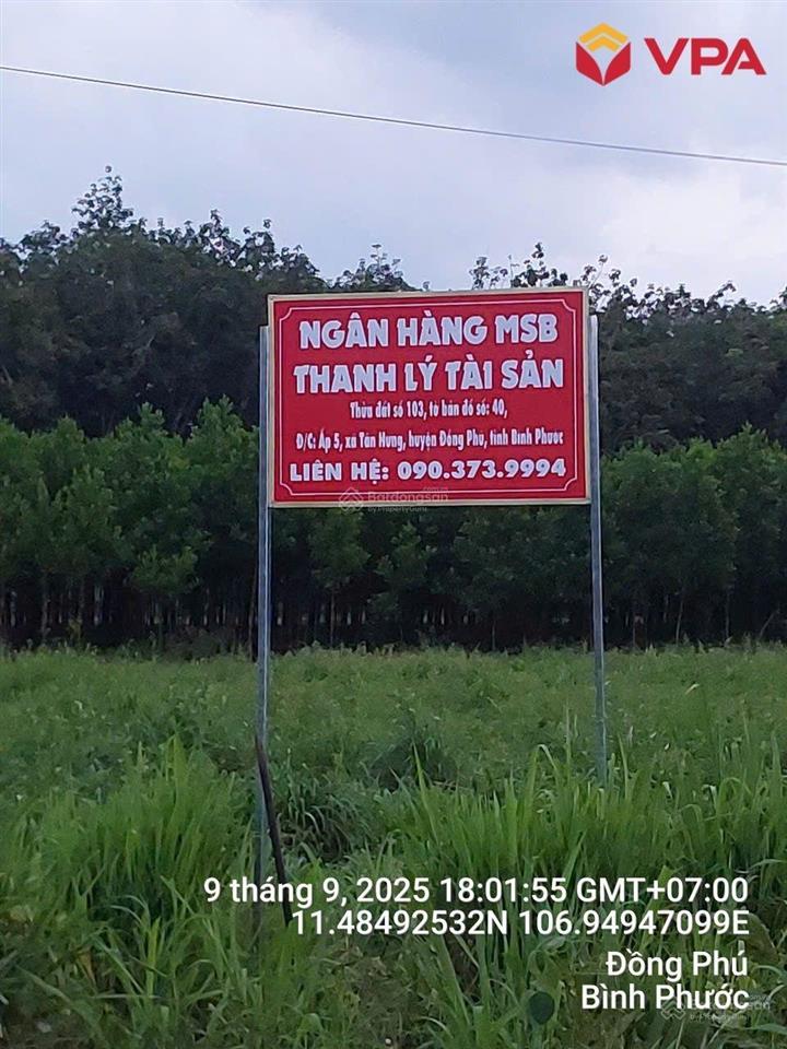 Tài sản bà lê thị trang (đồng nai) xã tân hưng, huyện đồng phú, tỉnh bình phước