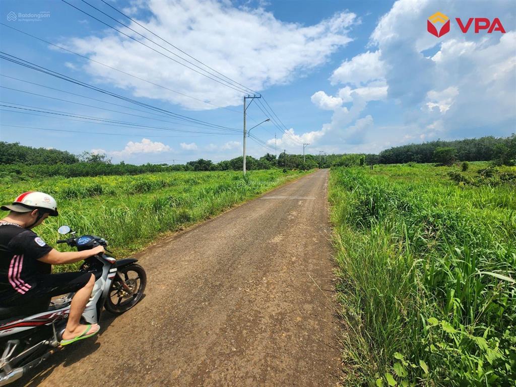 Tài sản bà lê thị trang (đồng nai) xã tân hưng, huyện đồng phú, tỉnh bình phước
