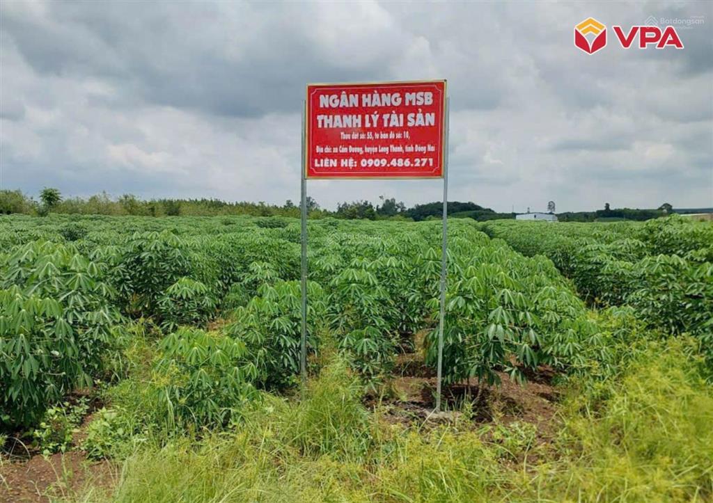 Thông báo đấu giá tài sản bảo đảm của bà đặng thị hoa tại xã xuân đường, thành phố đồng nai
