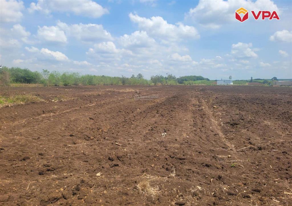 Thông báo đấu giá tài sản bảo đảm của bà đặng thị hoa tại xã xuân đường, thành phố đồng nai