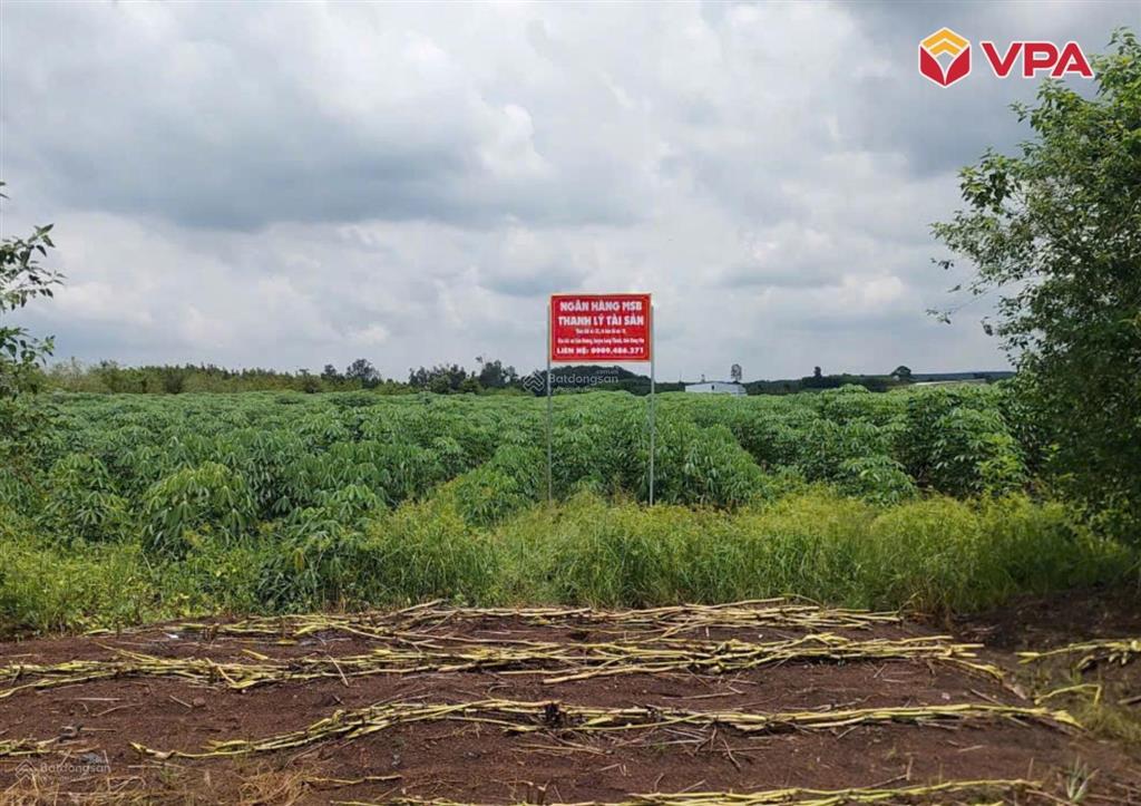 Thông báo đấu giá tài sản bảo đảm của bà đặng thị hoa tại xã xuân đường, thành phố đồng nai
