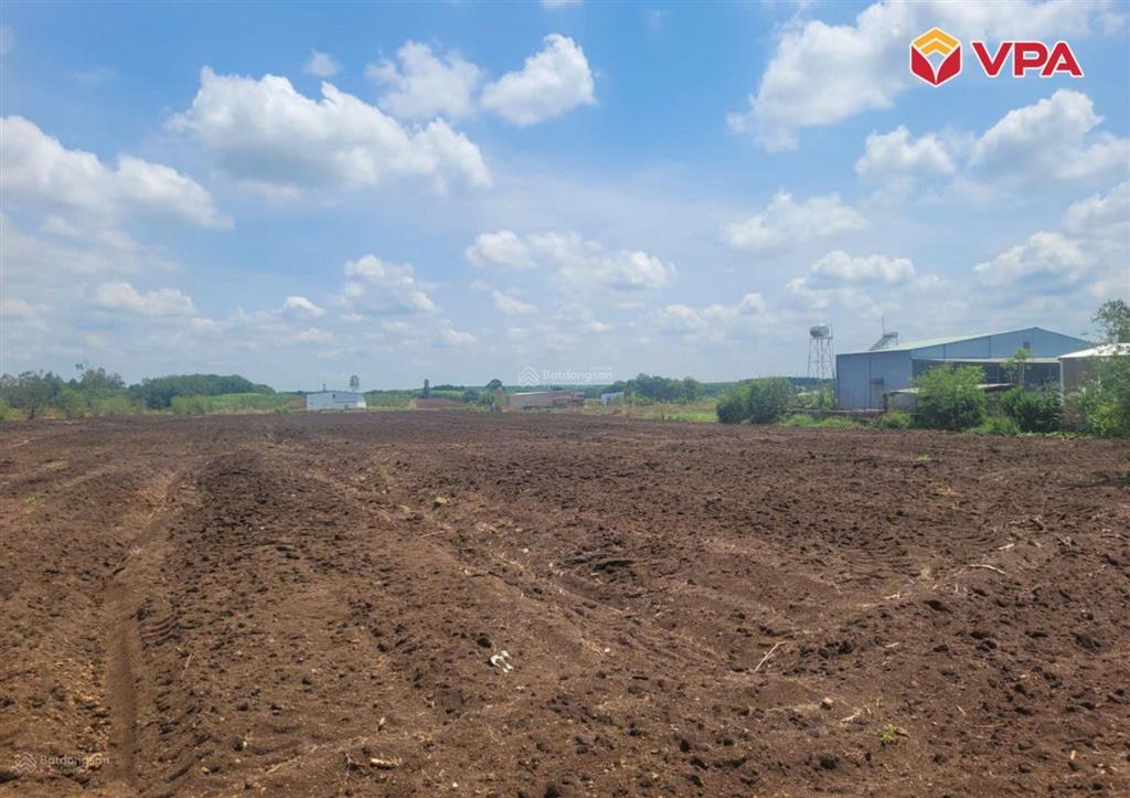 Thông báo đấu giá tài sản của bà đặng thị hoa tại xã cẩm đường, huyện long thành, tỉnh đồng nai