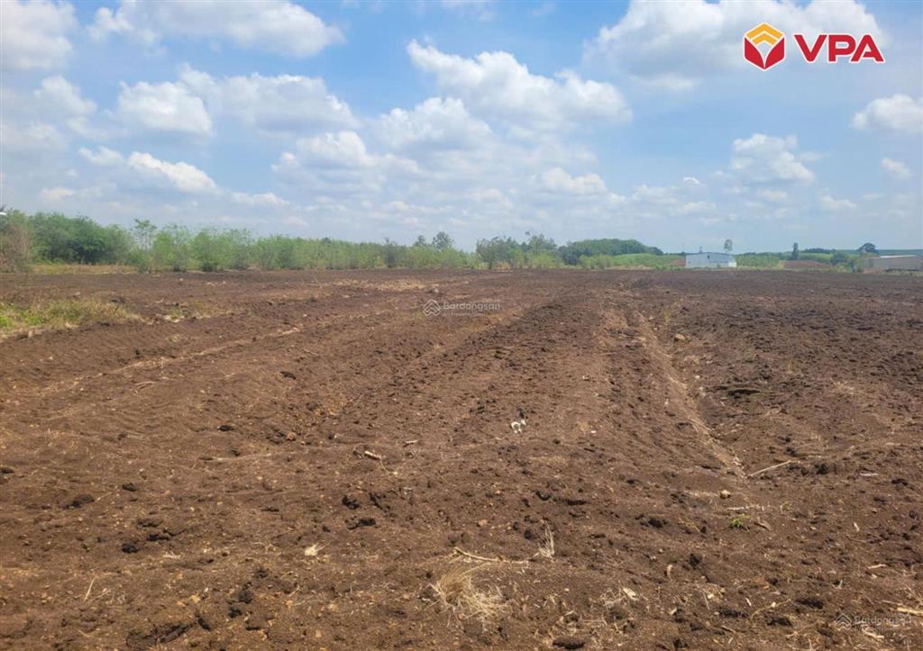 Thông báo đấu giá tài sản của bà đặng thị hoa tại xã cẩm đường, huyện long thành, tỉnh đồng nai