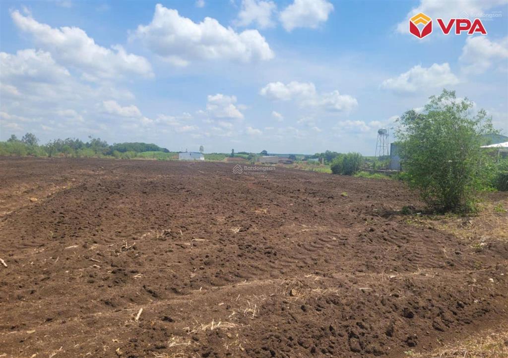 Thông báo đấu giá tài sản của bà đặng thị hoa tại xã cẩm đường, huyện long thành, tỉnh đồng nai