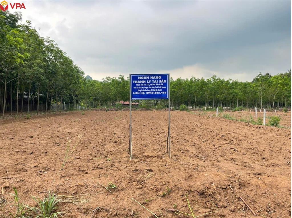 Thông báo đấu giá tài sản đang được thế chấp tại ngân hàng tmcp quốc tế việt nam