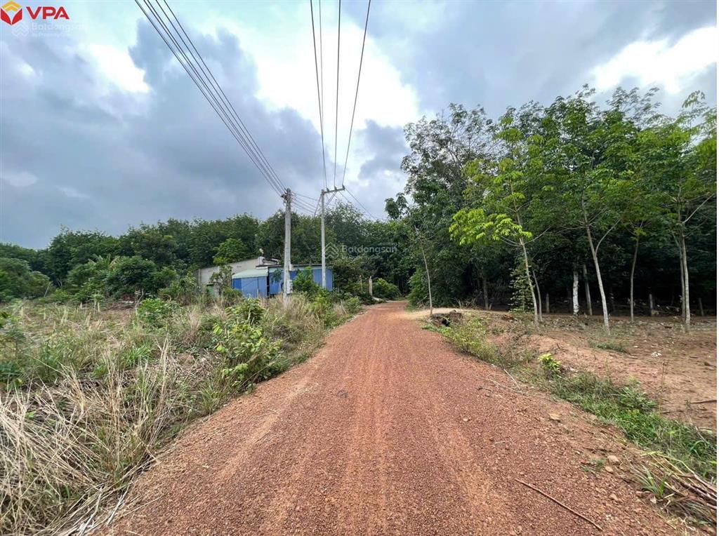 Thông báo đấu giá tài sản đang được thế chấp tại ngân hàng tmcp quốc tế việt nam