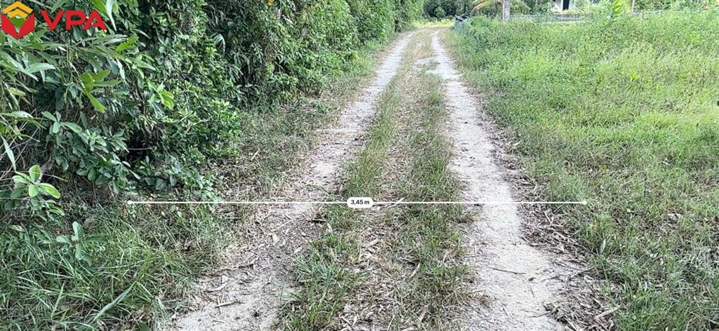 Thông báo đấu giá tài sản của ông lê quốc việt (thửa 215)