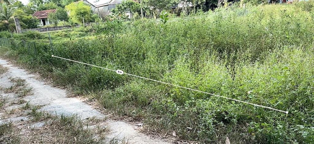Thông báo đấu giá tài sản của ông lê quốc việt (thửa 214)