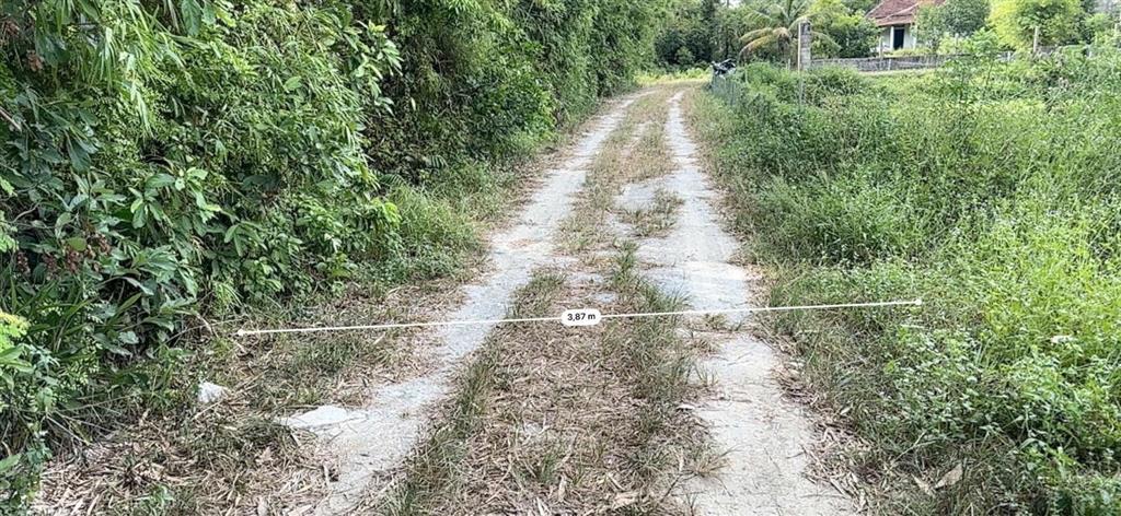 Thông báo đấu giá tài sản của ông lê quốc việt (thửa 214)
