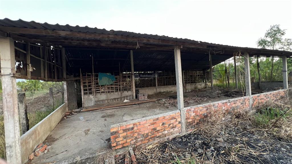 Bán gấp 1686m2 đất tại phước trung, gò công đông  sổ sẵn, giá chỉ 1,9 tỷ