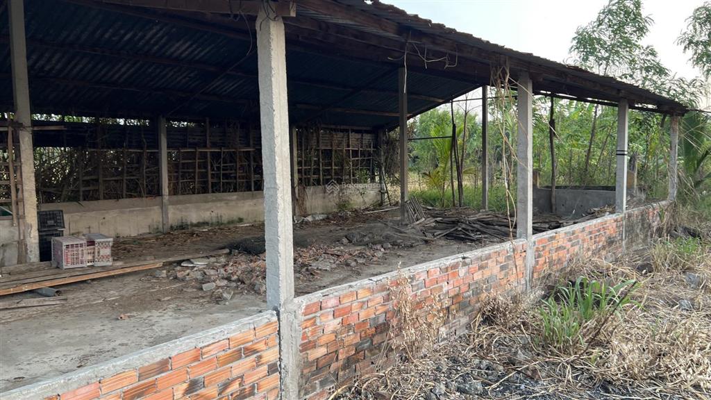 Bán gấp 1686m2 đất tại phước trung, gò công đông  sổ sẵn, giá chỉ 1,9 tỷ