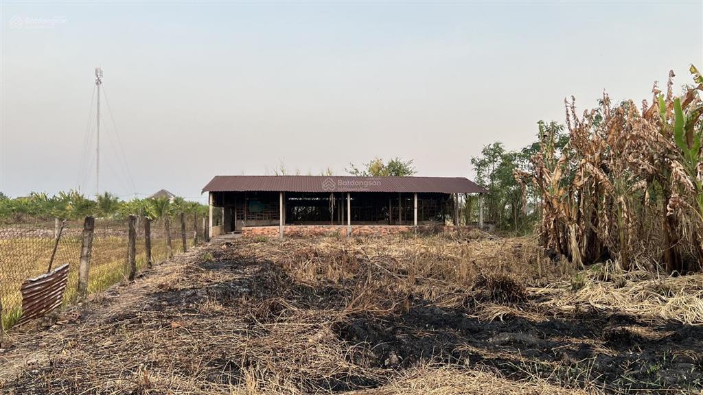 Bán gấp 1686m2 đất tại phước trung, gò công đông  sổ sẵn, giá chỉ 1,9 tỷ