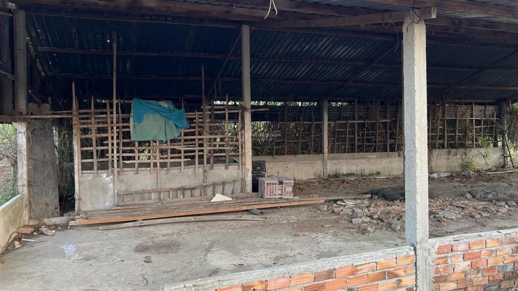 Bán gấp 1686m2 đất tại phước trung, gò công đông  sổ sẵn, giá chỉ 1,9 tỷ