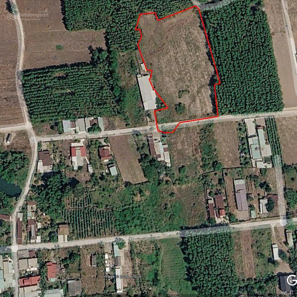 Bán 8000m2 gần kcn bàu cạn giá tốt