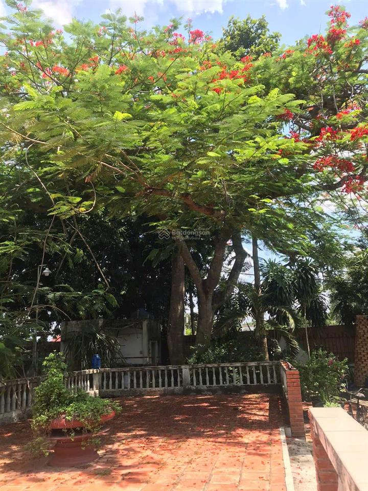 Bán gấp biệt thự vườn 2.100m²  góc 2 mặt tiền sát ql22, gần vinhomes hóc môn