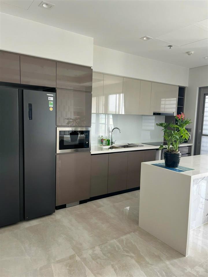 Cho thuê căn hộ horizon view hồ bán nguyệt | phú mỹ hưng
