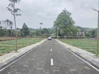 Chính chủ bán đất nền tại thị trấn ba hàng đồi  lạc thủy (an nghĩa  phú thọ mới)