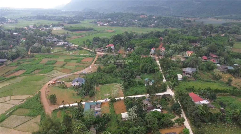 Chính chủ cần bán mảnh đất tại thôn đồng danh, xã an nghĩa, phú thọ