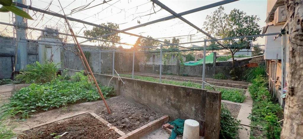 Siêu phẩm biệt thự nhà vườn 677m2, 6pn, 5wc tại tam đa, thủ đức, giá 17,5 tỷ