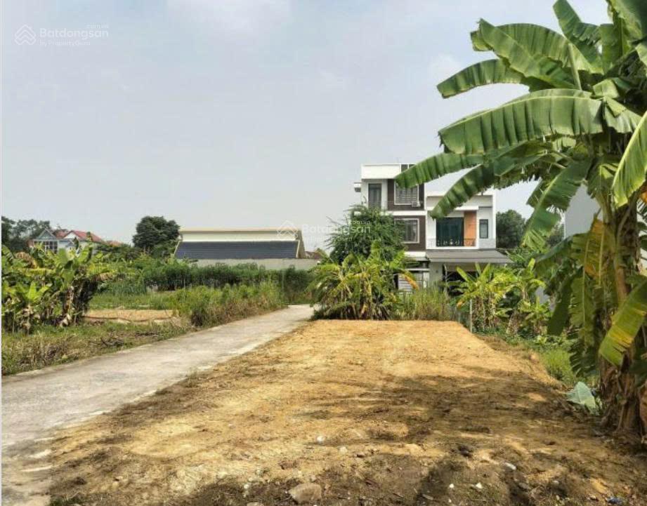 Bán đất 120m2 mặt tiền thoáng tại tam nông, phú thọ giá tốt đầu tư