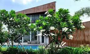Nhà phố trục chính the pearl riverside chỉ 3 tỷ!