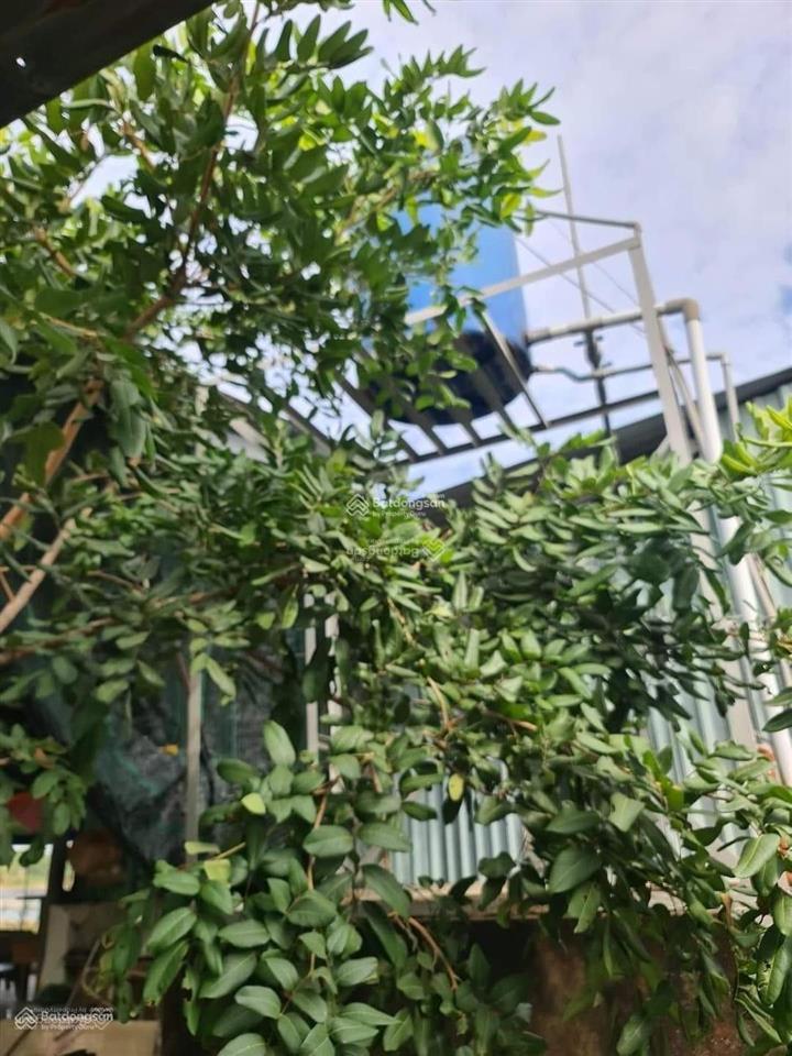 Bán vườn cây ăn trái có nhà vườn nghỉ dưỡng mt xương cá 1024m2 bình hưng bình chánh chỉ 10,5 tỷ
