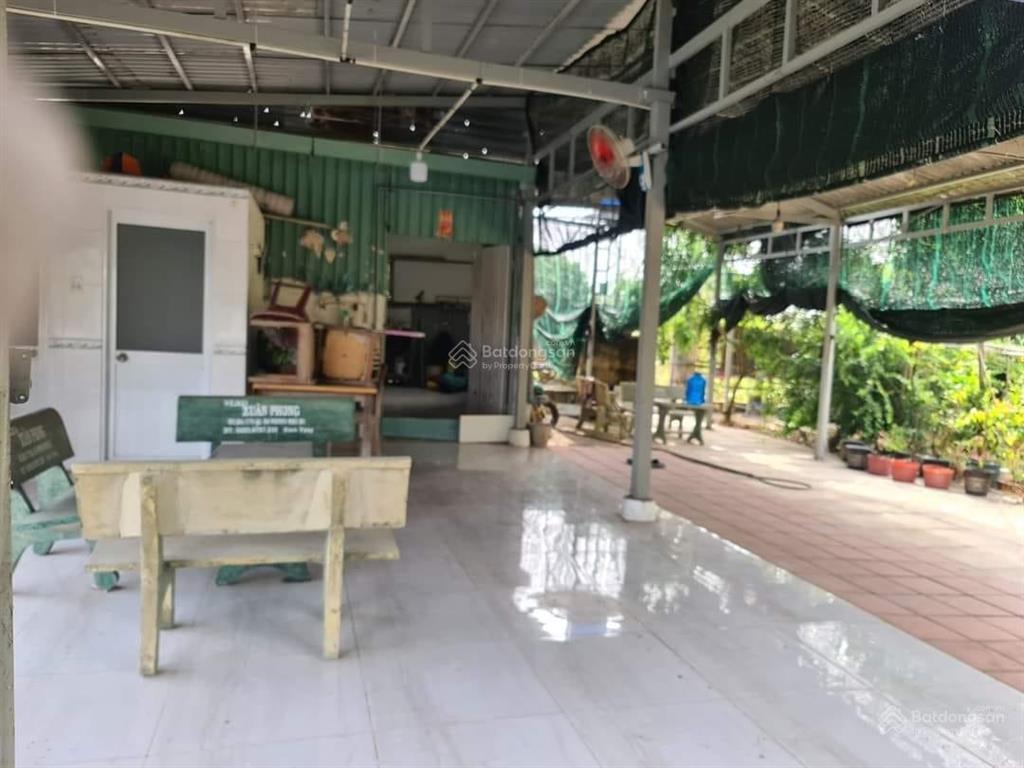 Bán vườn cây ăn trái có nhà vườn nghỉ dưỡng mt xương cá 1024m2 bình hưng bình chánh chỉ 10,5 tỷ