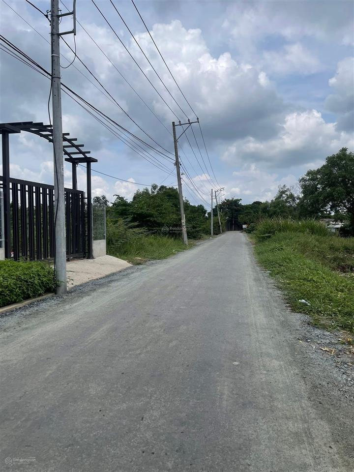 Bán đất trồng cây lâu năm mặt tiền xương cá 1 bình hưng bình chánh 1300m2 shr chỉ 8,5 tỷ đường 10m