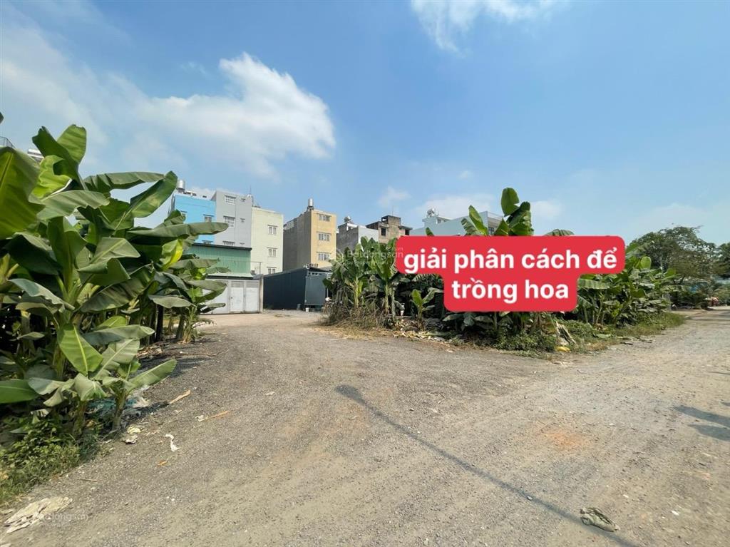 Bán đất nền khu dân cư chợ bình điền p7 quận 8 dt 110m² sổ hồng riêng đường 20m chỉ 4 tỷ 950
