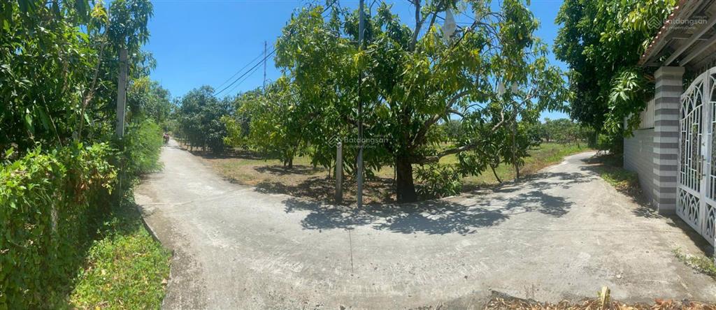 Bán gấp 1300m2 đất thổ cư (tổng dt 2659,3m2) đối diện vin cần giờ chỉ 10tr/m2 đã có sổ đầy đủ