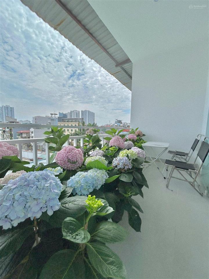 Tập thể ngõ 29 lạc trung  lô góc  2 ngủ 2 vs  view triệu đô ở cực sướng