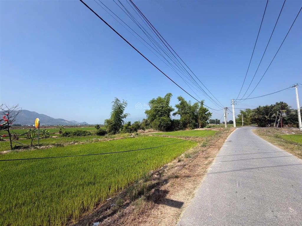 Bán đất diên thạnh diên khánh gần cf gác lúa