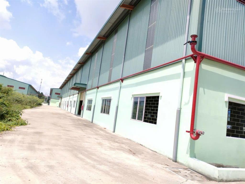 Cho thuê gấp kho xưởng tại đường nguyễn hữu trí xã bình lợi huyện bình chánh, tổng đất 18000 m2