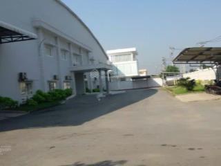 Bán gấp kho xưởng mặt tiền đường trần đại nghĩa bình chánh tphcm diện tích 4,000m có 2900m thổ cư