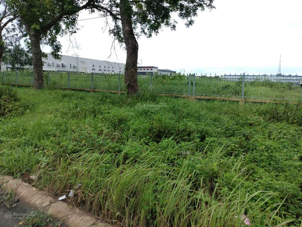 Bán gấp lô đất thổ cư tại ấp bình tiền 2 xã đức hòa hạ huyện đức hòa tỉnh long an 1400 m