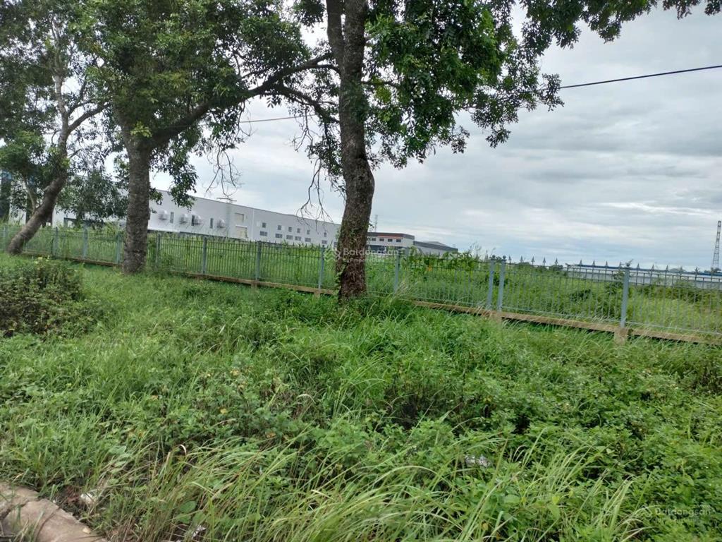 Bán gấp lô đất thổ cư tại ấp bình tiền 2 xã đức hòa hạ huyện đức hòa tỉnh long an 1400 m