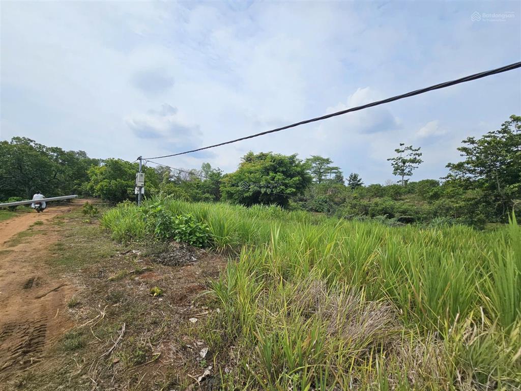 Bán lô đất view suối buôn đôn 610,8m² giá chỉ 250 triệu  sổ hồng riêng, làm homestay cực đẹp