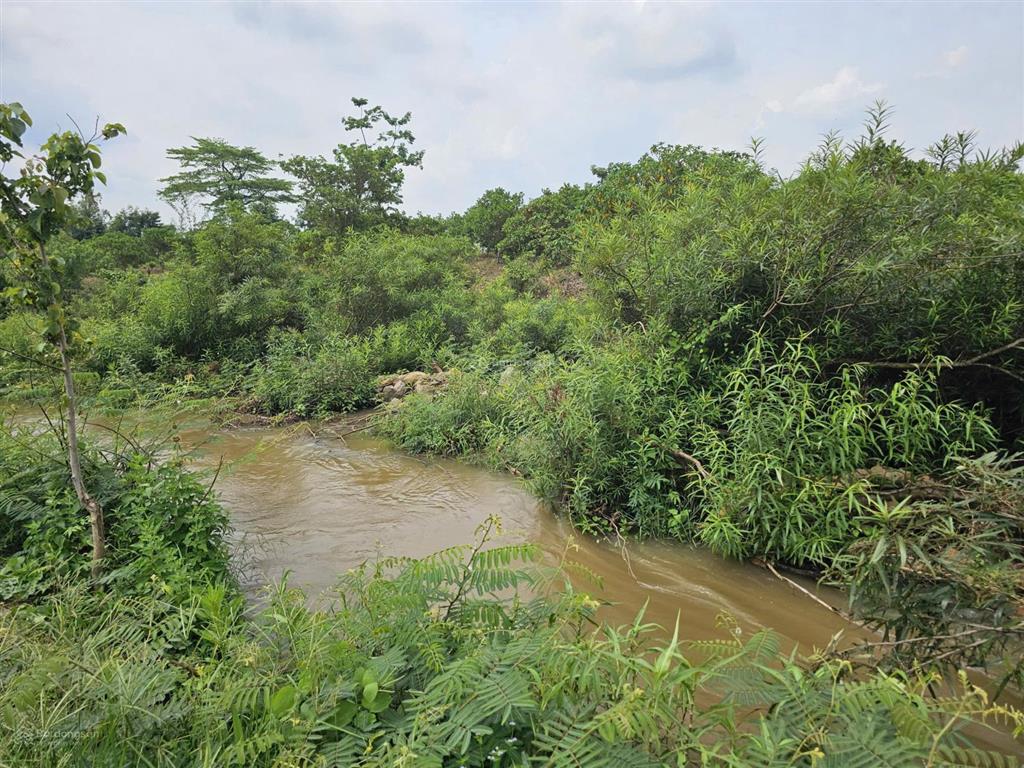 Bán lô đất view suối buôn đôn 610,8m² giá chỉ 250 triệu  sổ hồng riêng, làm homestay cực đẹp