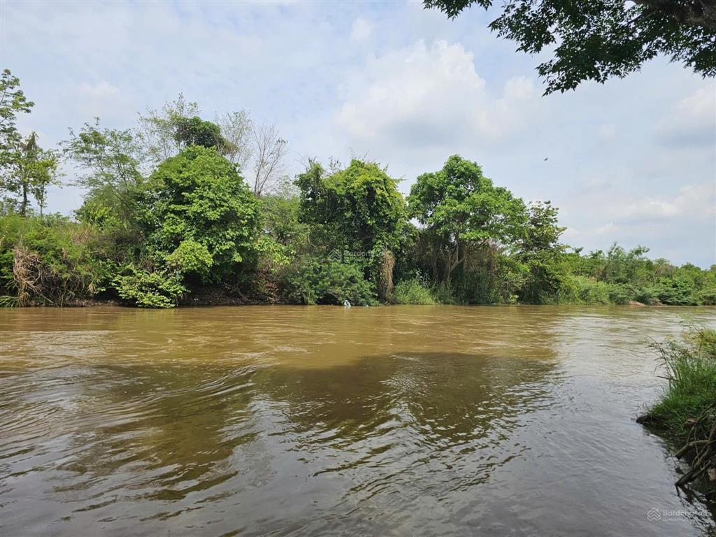 Bán lô đất view suối buôn đôn 610,8m² giá chỉ 250 triệu  sổ hồng riêng, làm homestay cực đẹp