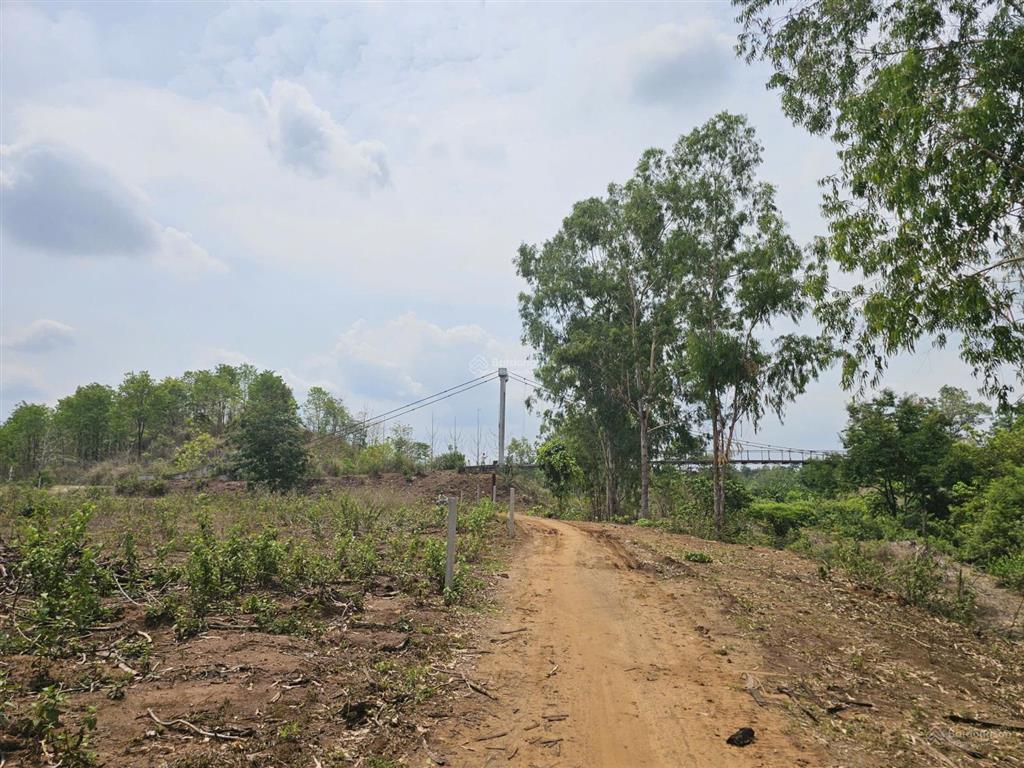 Bán lô đất view suối buôn đôn 610,8m² giá chỉ 250 triệu  sổ hồng riêng, làm homestay cực đẹp