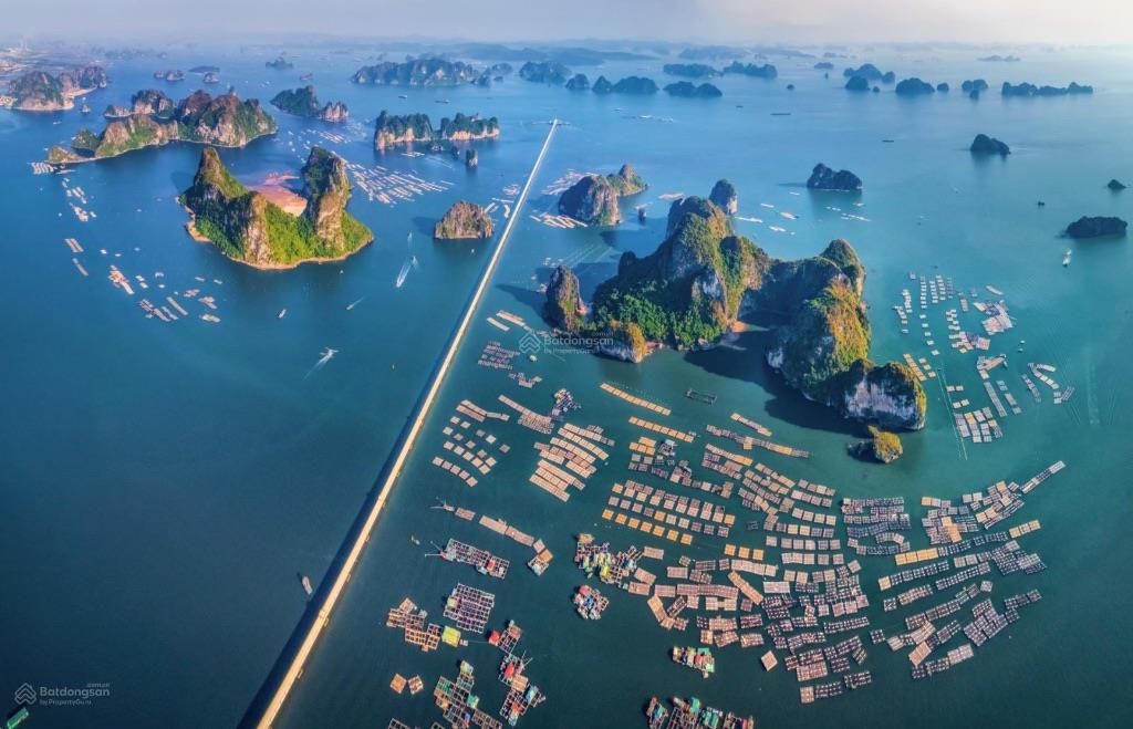 Hot nhất trong kỳ nghỉ lễ này - Crystal Holidays Vân Đồn, giá chỉ từ 1.5 tỷ 