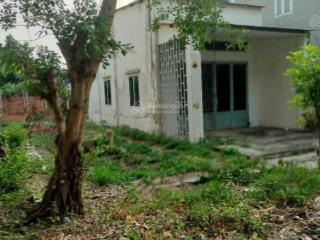 Diện tích lớn 250m2 thổ cư nhà vườn cũ tiện xây mới đường dương công khi giá tốt đường vào 6m thông