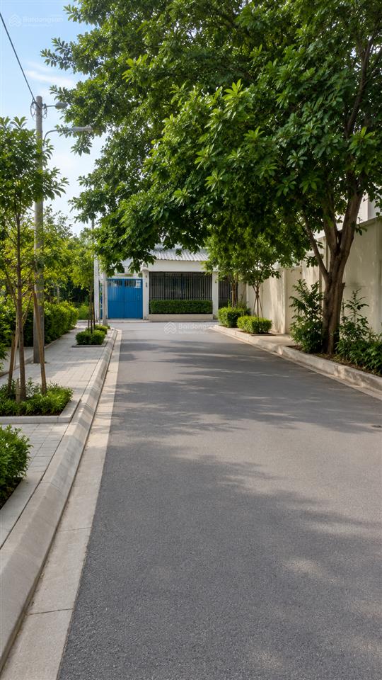 Diện tích lớn 250m2 thổ cư nhà vườn cũ tiện xây mới đường dương công khi giá tốt đường vào 6m thông