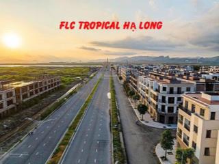 Bán lô đất mặt biển hạ long giá 2,5 tỷ tại dự án flc tropical hạ long