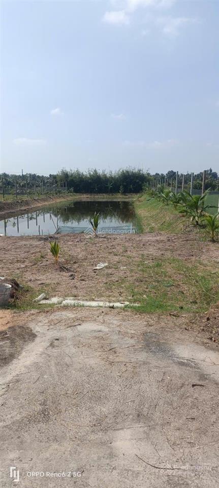 Bán rẻ nhà vườn 2000m2 xã tân nhựt giá 7ti