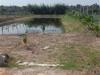 Bán rẻ nhà vườn 2000m2 xã tân nhựt giá 7ti