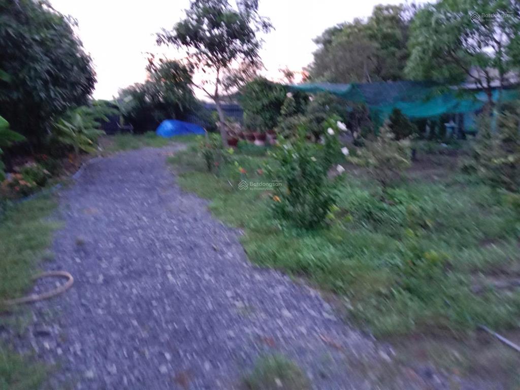 Bán nhà vườn hưng long 4200m2 giá 9ti quá rẻ bà con ơi?