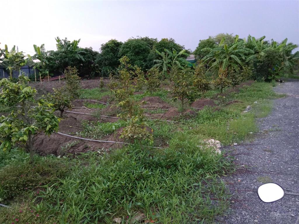 Bán nhà vườn hưng long 4200m2 giá 9ti quá rẻ bà con ơi?