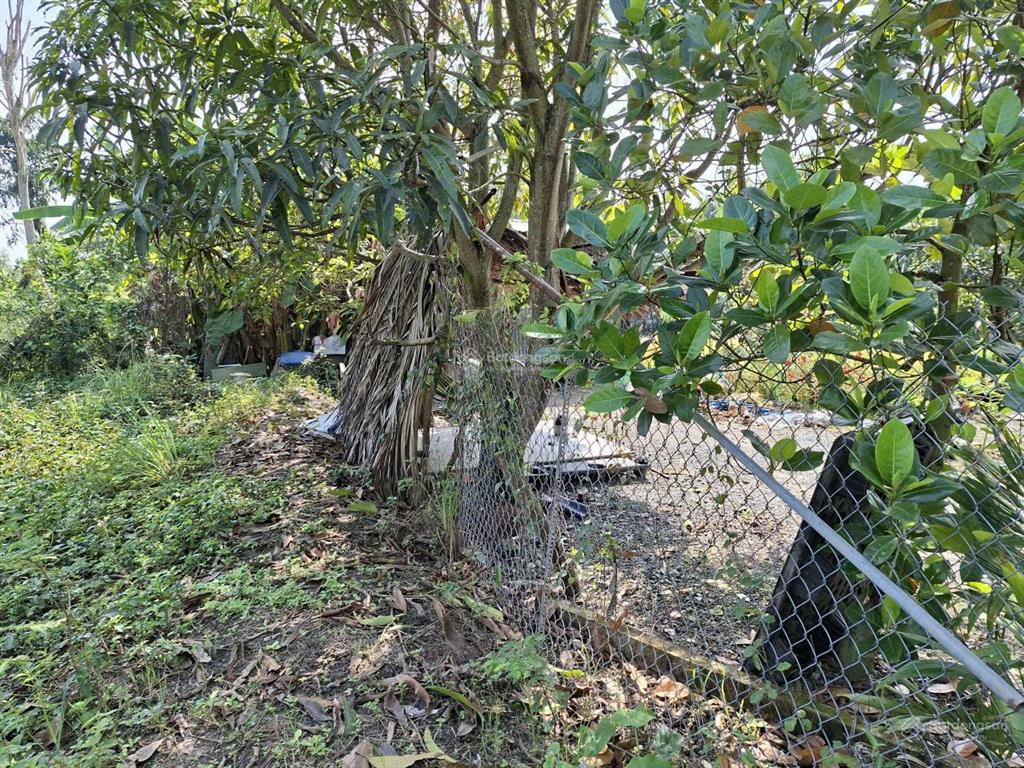 Chủ cần bán rẻ đất 1ha xã hưng long view sông giá rẻ 14ti